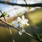 Предстоящи събития днес