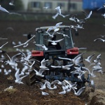 Цените на нивите падат, офшорки разпродават ударно заради Закона за земята