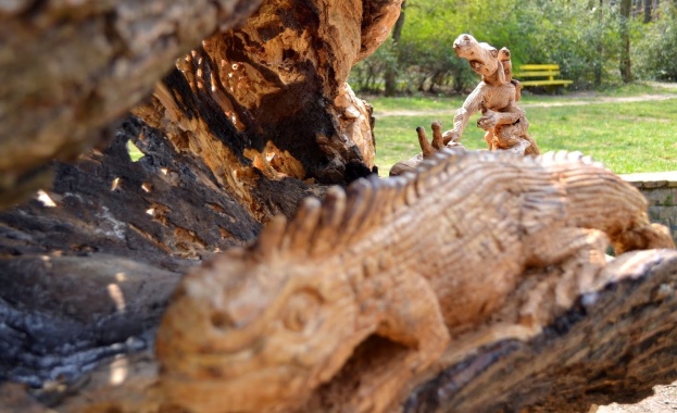 Нов живот за дървета пред изсичане
