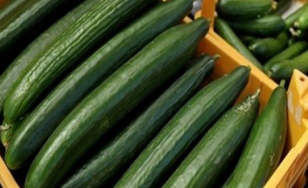 Оранжерийните производители предлагат ДДС то върху българските краставици и домати да