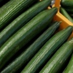 Има ли спекула при цената на краставиците от производителя до пазара