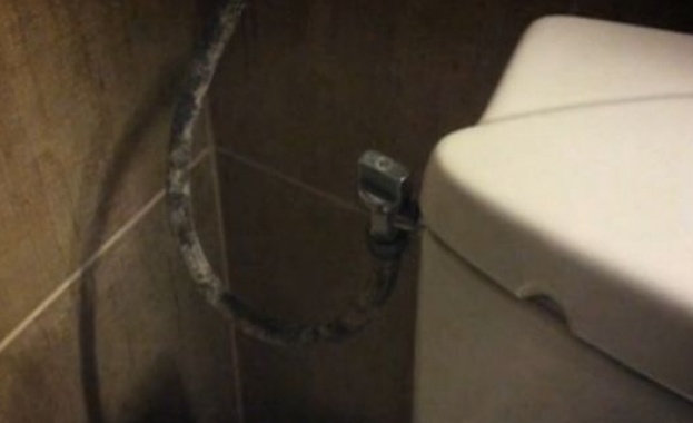 Десетки семейства платиха стотици левове за провален Великден