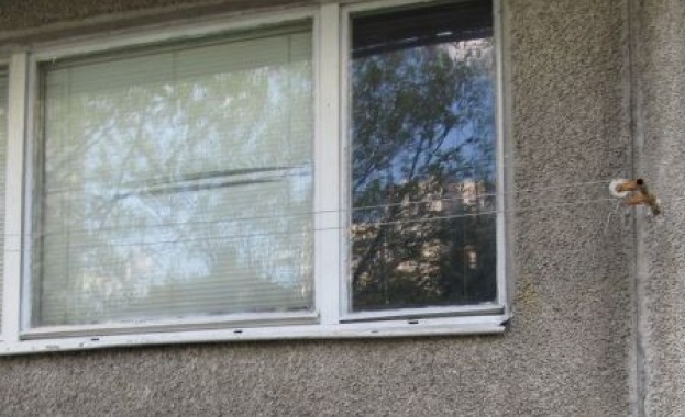 Кой допусна смъртта на пребитото 7-годишно момиченце?