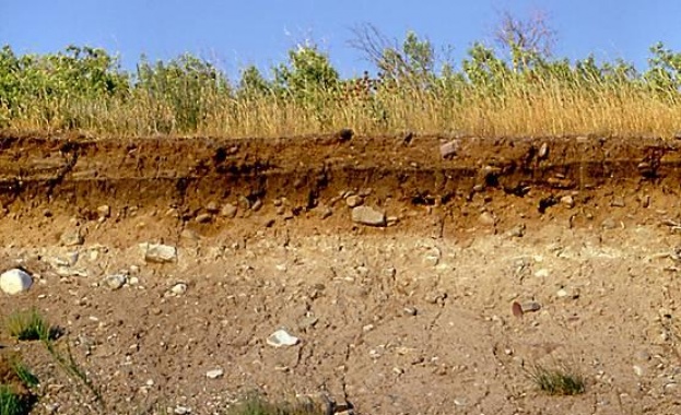 Изплатиха близо 7 млн. на земеделците с неплодородни земи