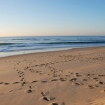 Предстоящи събития в страната за днес, 20 юли