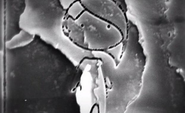 Най-малката комикс книжка е изрисувана върху човешки косъм