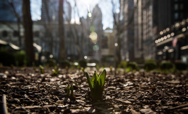 Безплатни правописни консултации за столичани по случай 11 май