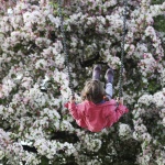 Предстоящи събития в страната за днес, 10 май