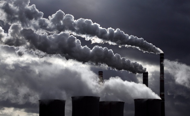 Цената на въглищата скача