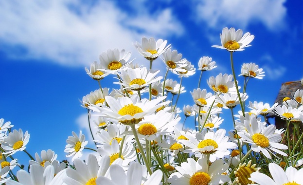 Предстоящи събития в страната за днес, 15 юни