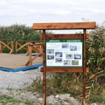 Зарибяват езерото Вая с 4 тона бял амур 