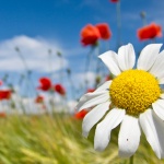 Предстоящи събития в страната за днес, 13 април