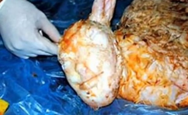 Шокиращо: Ветеринари изродиха агне с "човешко лице" /видео/