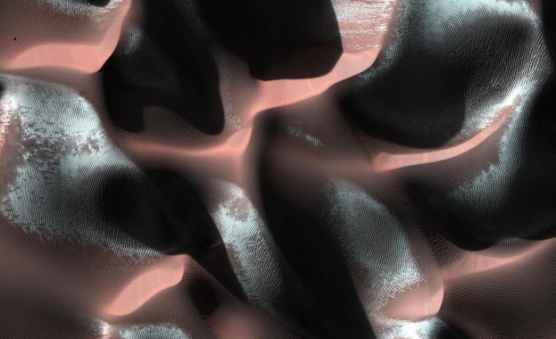 Предстоящи събития в страната за утре, 15 май