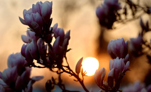 Предстоящи събития в страната за утре, 16 май