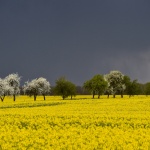 Предстоящи събития в страната за утре, 27 май