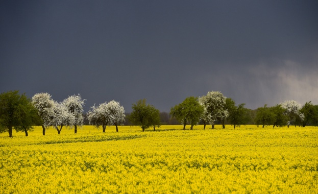 Предстоящи събития в страната за днес, 16 май