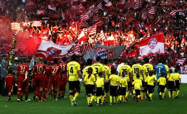 Орангутан предсказва кой ще грабне Купата на Германия