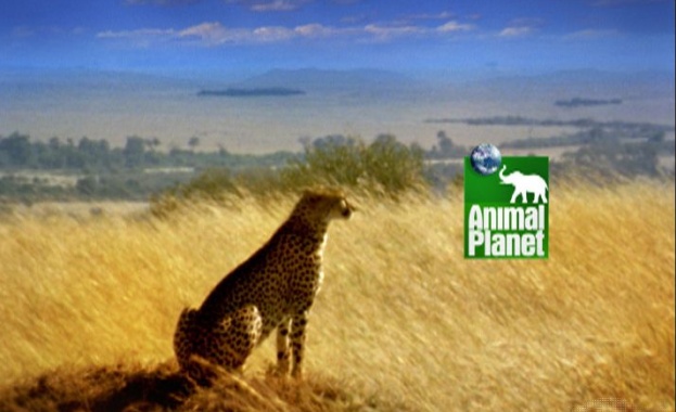 Премиерни епизоди по Animal Planet 