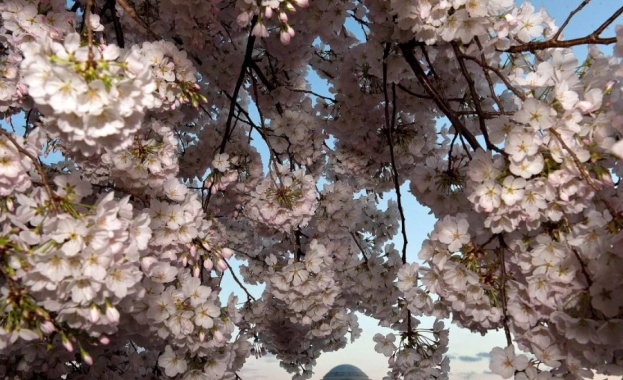 Предстоящи събития в страната за днес, 22 май