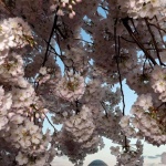 Предстоящи събития в страната за днес, 22 май