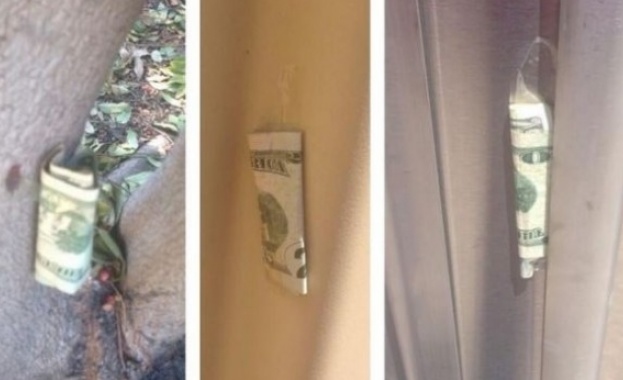 Mилионер лепи банкноти от $100 из улиците на Сан Франциско