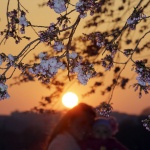 Предстоящи събития в страната за днес, 28 май