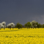 Предстоящи събития в страната за днес, 29 май