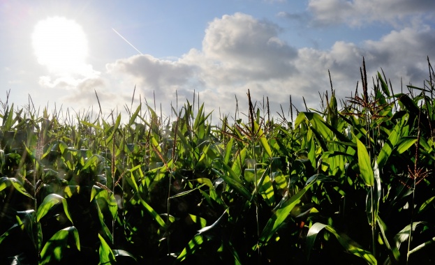 „Адванс Терафонд" АДСИЦ определи условията за изплащане на дивидент за 2013 г.