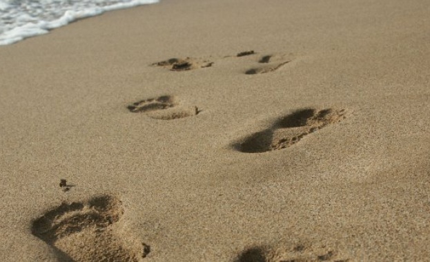 Три линейки ще се грижат за туристите по варненските плажове