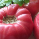 Розовият домат от Куртово Конаре влезе в Световна съкровищница на вкусовете 