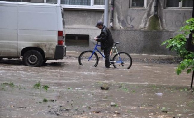 Порой удави Варна