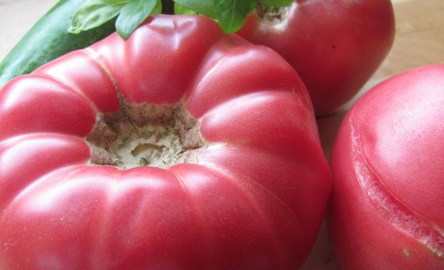 Розовият домат от Куртово Конаре влезе в Световна съкровищница на вкусовете 