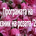 Грешка или зла умисъл?