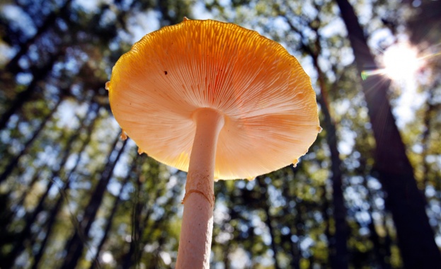 Предстоящи събития в страната за днес, 7 юни 