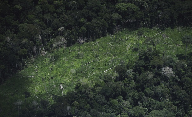 Започна внедряването на система за онлайн дистанционно отчитане при транспорт на дървесина