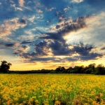 Къде какво в страната днес