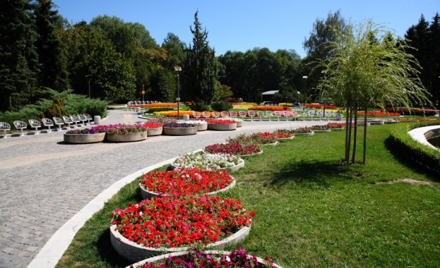 Откриха труп на младеж в Южния парк 