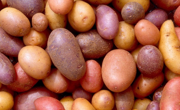 Руски учени създадоха весели картофи