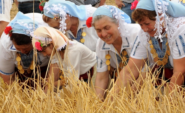 Започна жътвата в село Странско