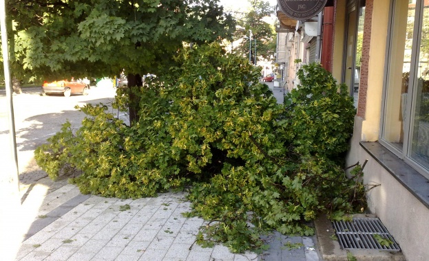 Утре - жълт код за възможни интензивни валежи, гръмотевични бури и градушки 