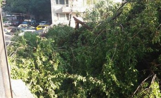 Мощна буря удари Пловдив