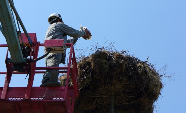 EVN България с втора спасителна акция за щъркелче в рамките на няколко дни