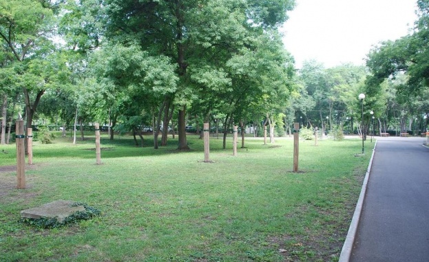 Задигнаха хамаците от Морската градина на Бургас 