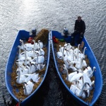 Предстоящи събития в страната за днес, 18 юни
