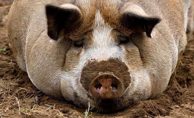 Ученик изобрети „Шпикомер”