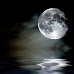 Животът е това, което...