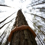 Предстоящи събития в страната за днес, 24 юни