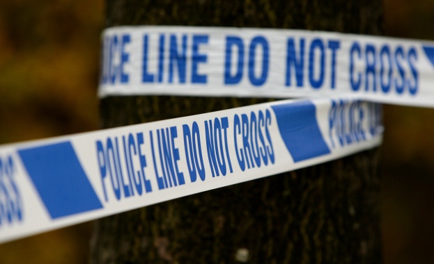 Децата са били на възраст между 2 и 14 години