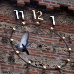 Георги Кардашев: DMS - пътят към Олимп